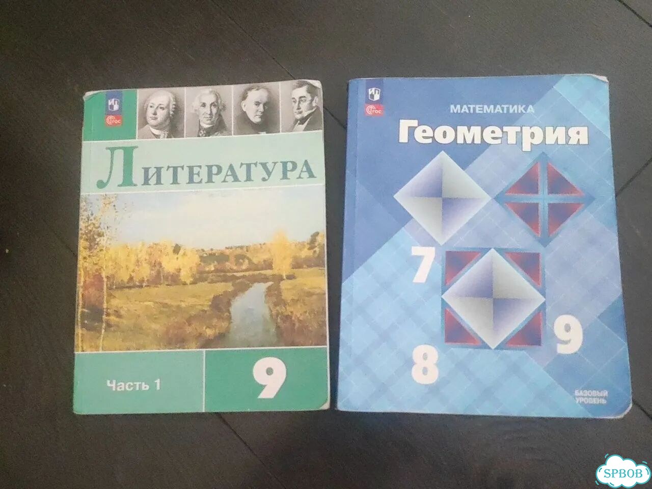 Учебники 7 9 класс геометрия и литература 9 класс фото 1