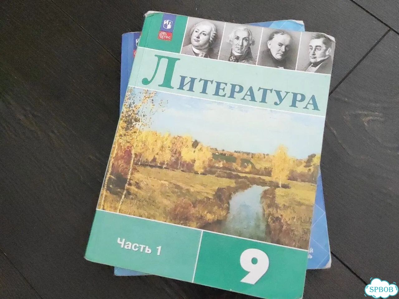 Учебники 7 9 класс геометрия и литература 9 класс фото 4