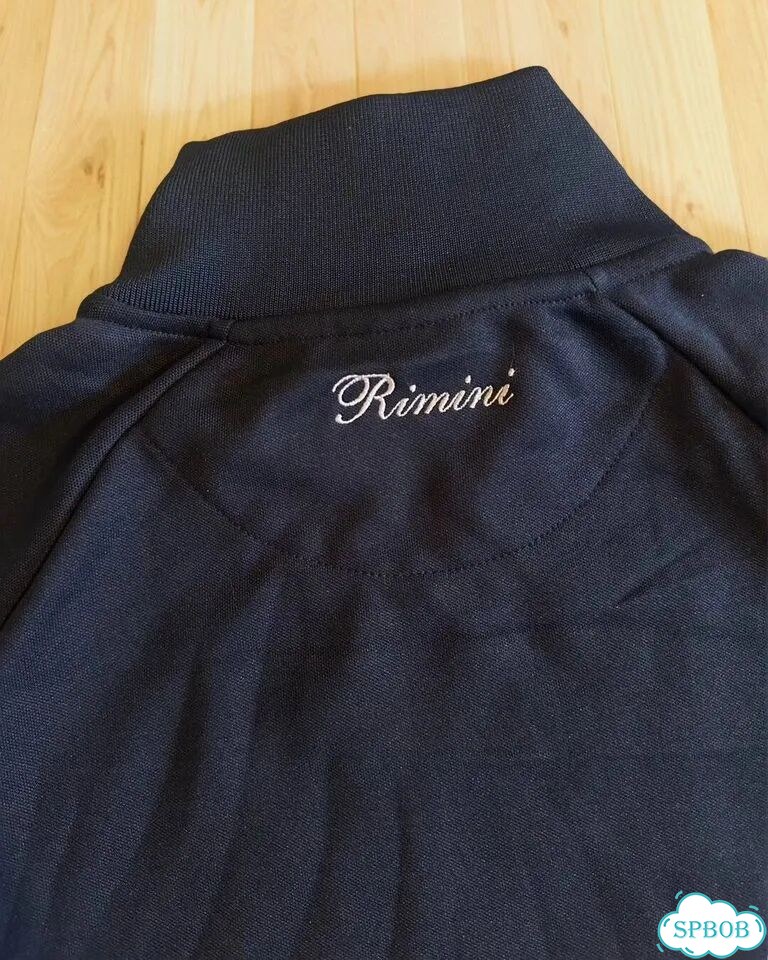 Олимпийка ellesse оригинал S-XL фото 4