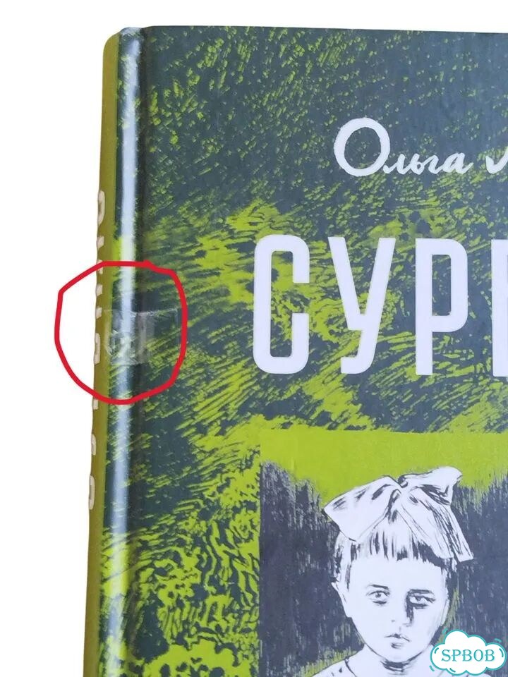 Ольга Лаврентьева. Сурвило фото 4
