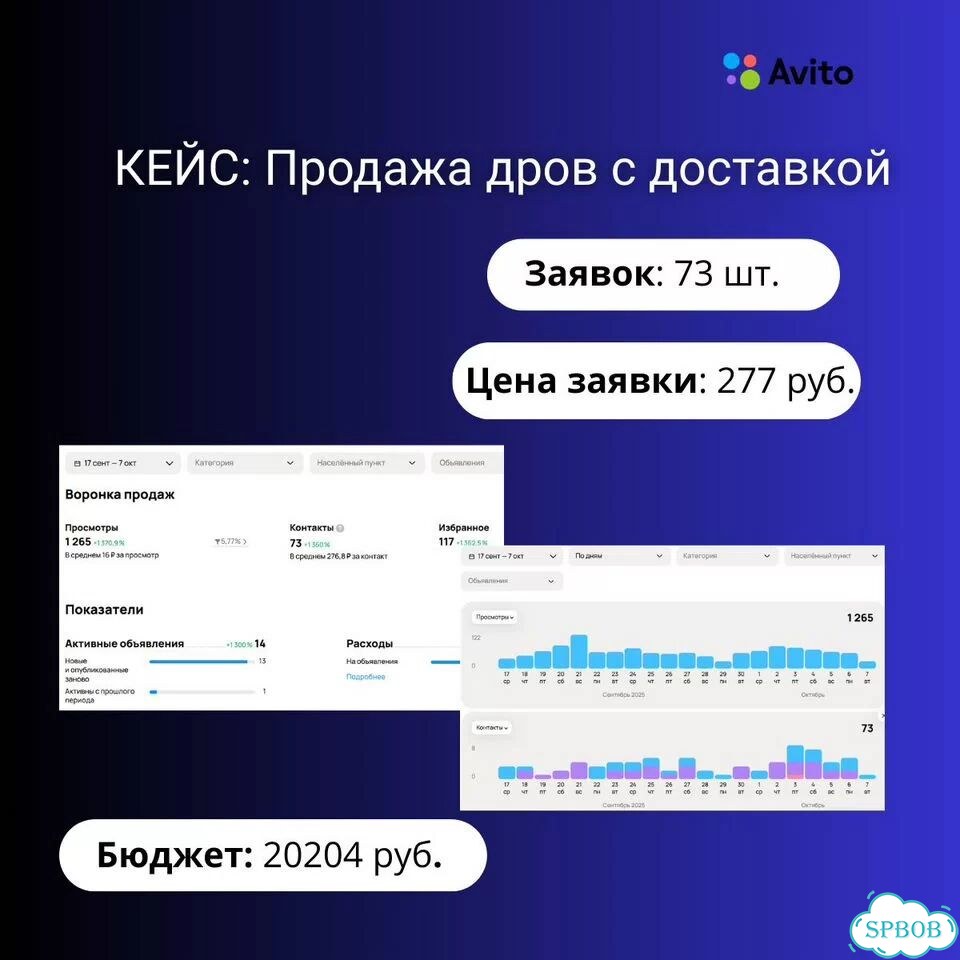 Авитолог от Бога. Аудит вашего профиля и стратегии фото 9