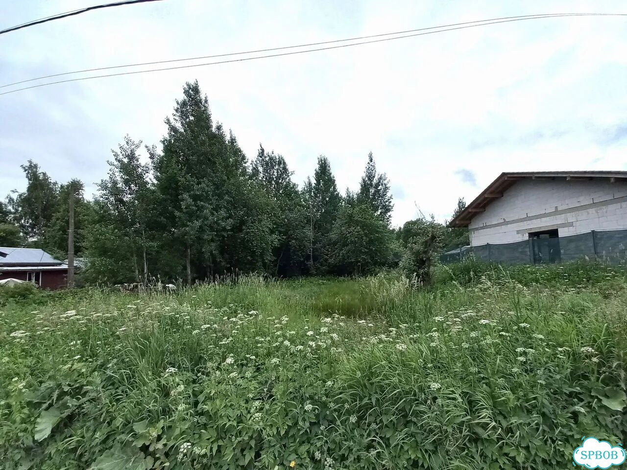 Участок 21 сот. (ИЖС) фото 1
