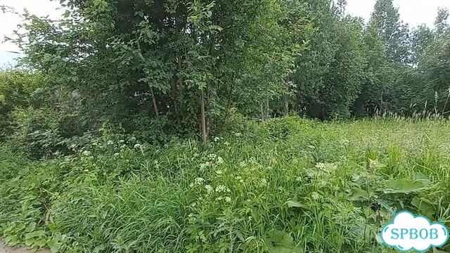 Участок 21 сот. (ИЖС) фото 2