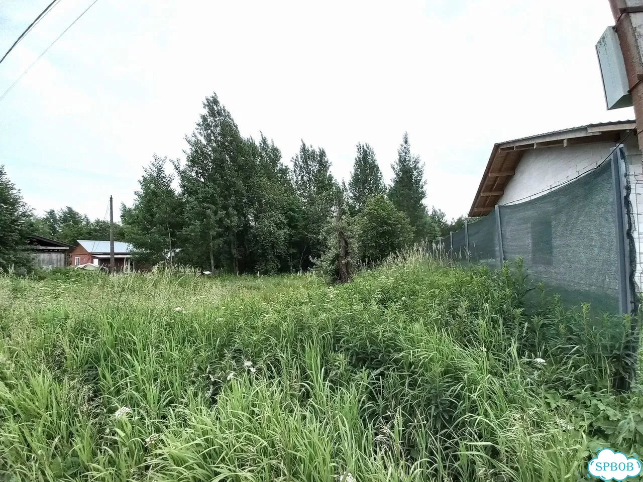 Участок 21 сот. (ИЖС) фото 3