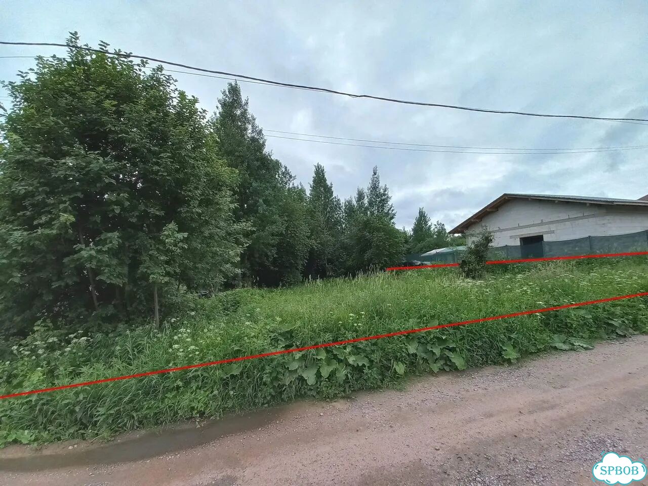 Участок 21 сот. (ИЖС) фото 4