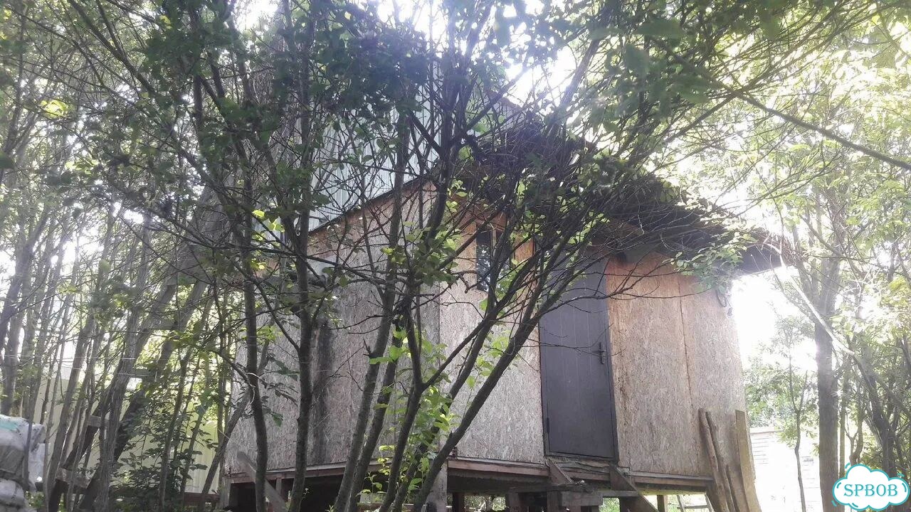 Дом 48 м² на участке 6,6 сот. фото 1