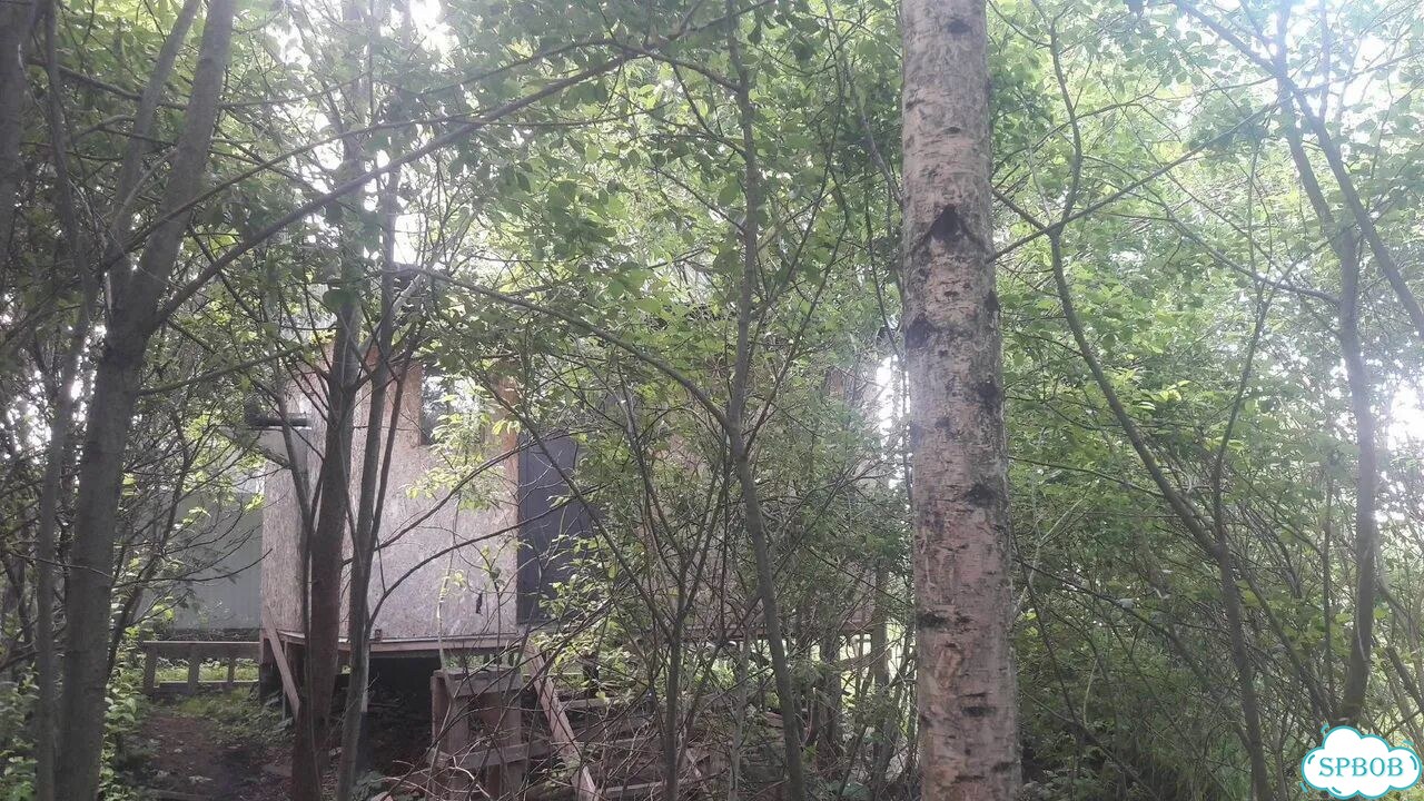Дом 48 м² на участке 6,6 сот. фото 2