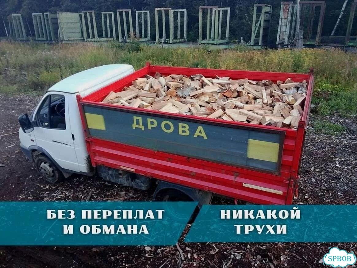Дрова березовые. Колотые фото 1