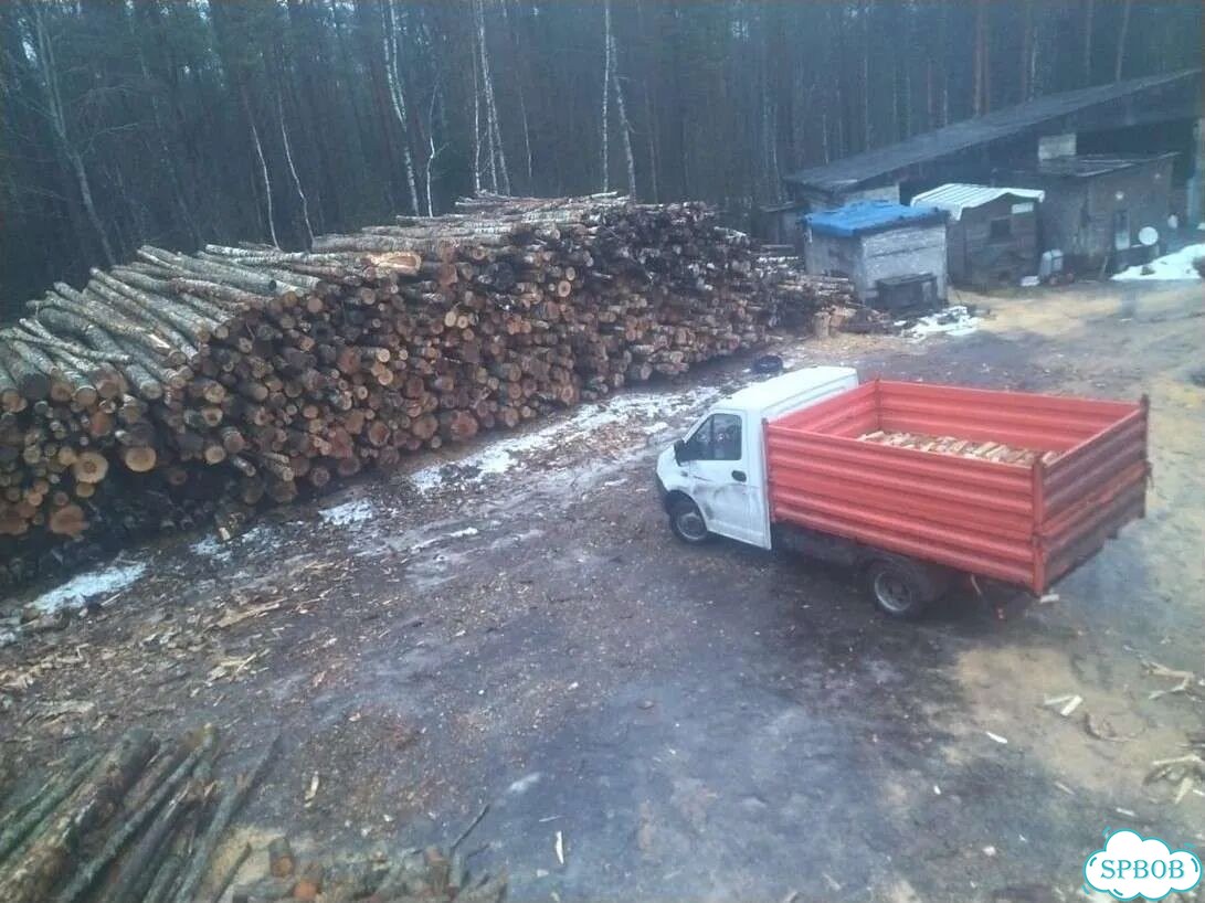 Березовые дрова фото 10