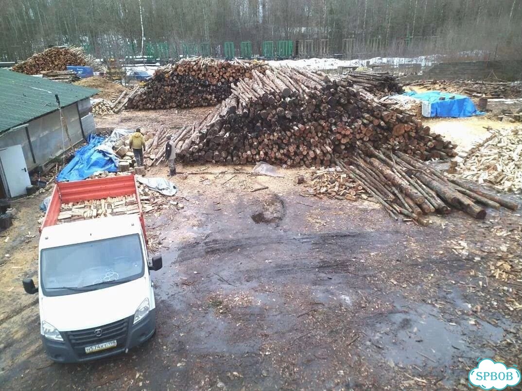 Березовые дрова фото 7