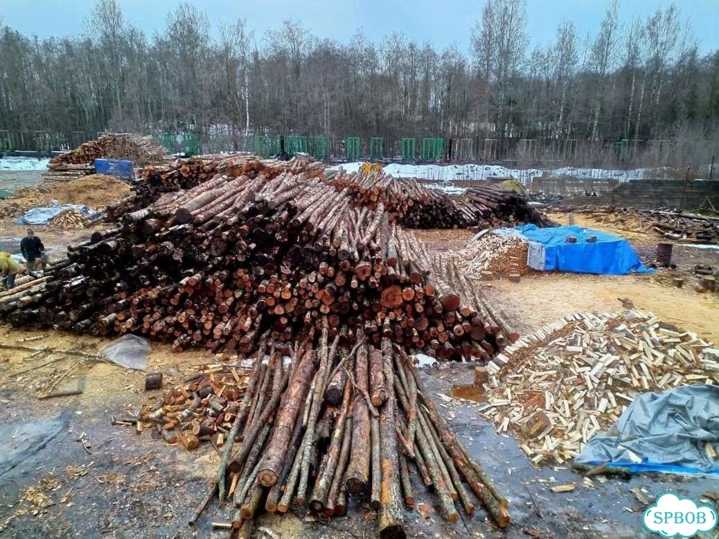 Березовые дрова фото 8