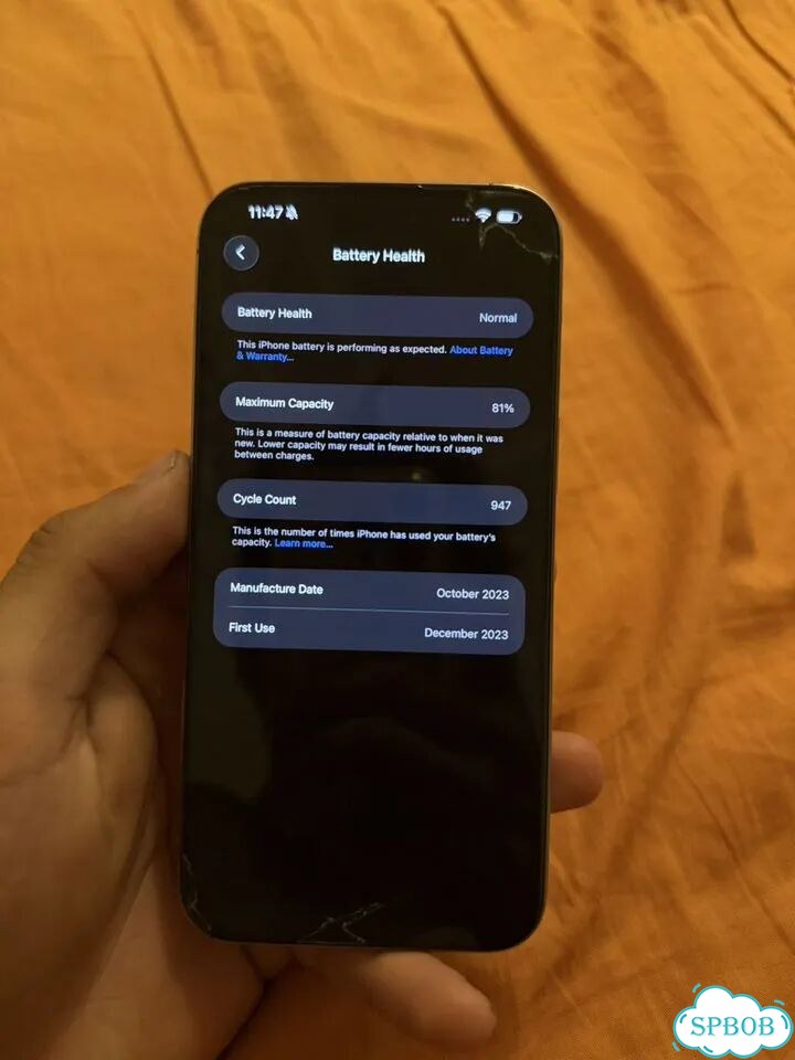 iPhone 15 Pro Max, 256 ГБ, SIM + eSIM фото 8