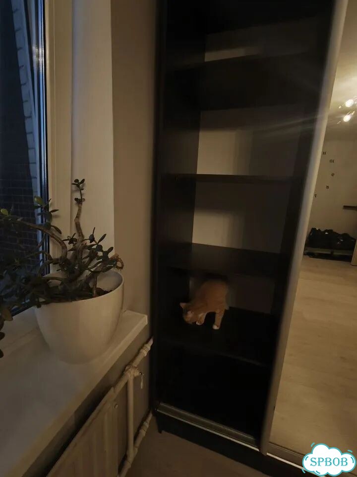 Шкаф купе двухстворчатый IKEA фото 5