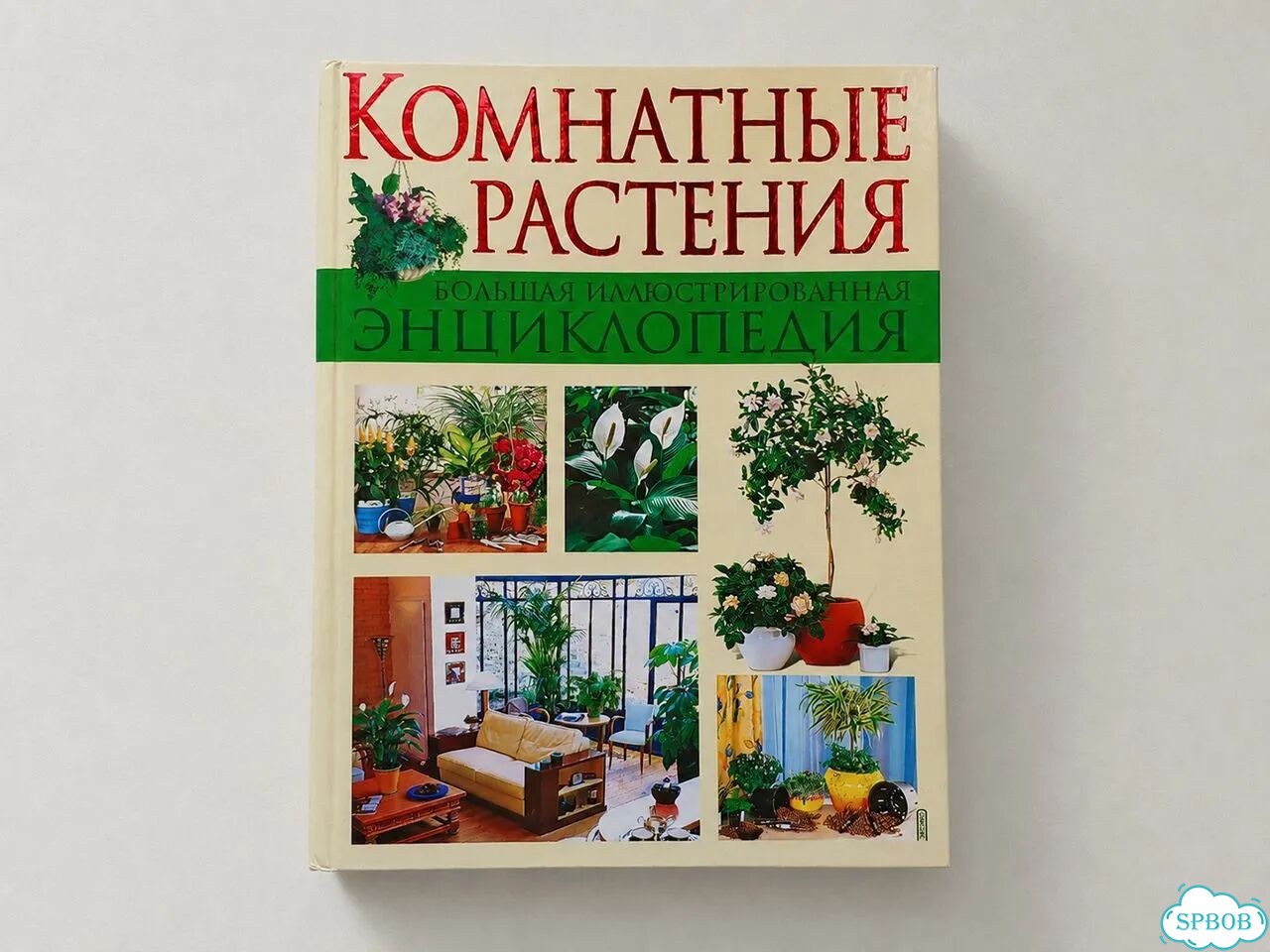 Энциклопедия комнатных растений 1500 видов фото 1