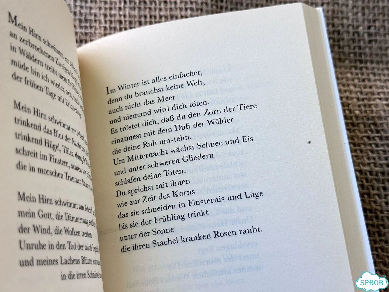 Thomas Bernhard. Gesammelte Gedichte фото 10