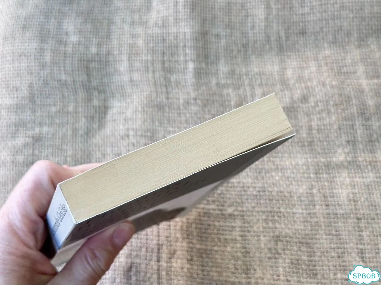 Thomas Bernhard. Gesammelte Gedichte фото 4