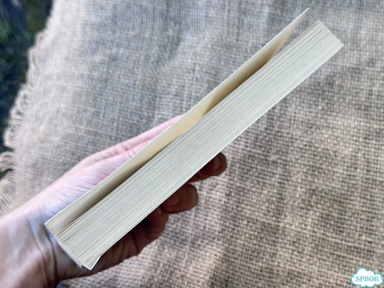 Thomas Bernhard. Gesammelte Gedichte фото 5