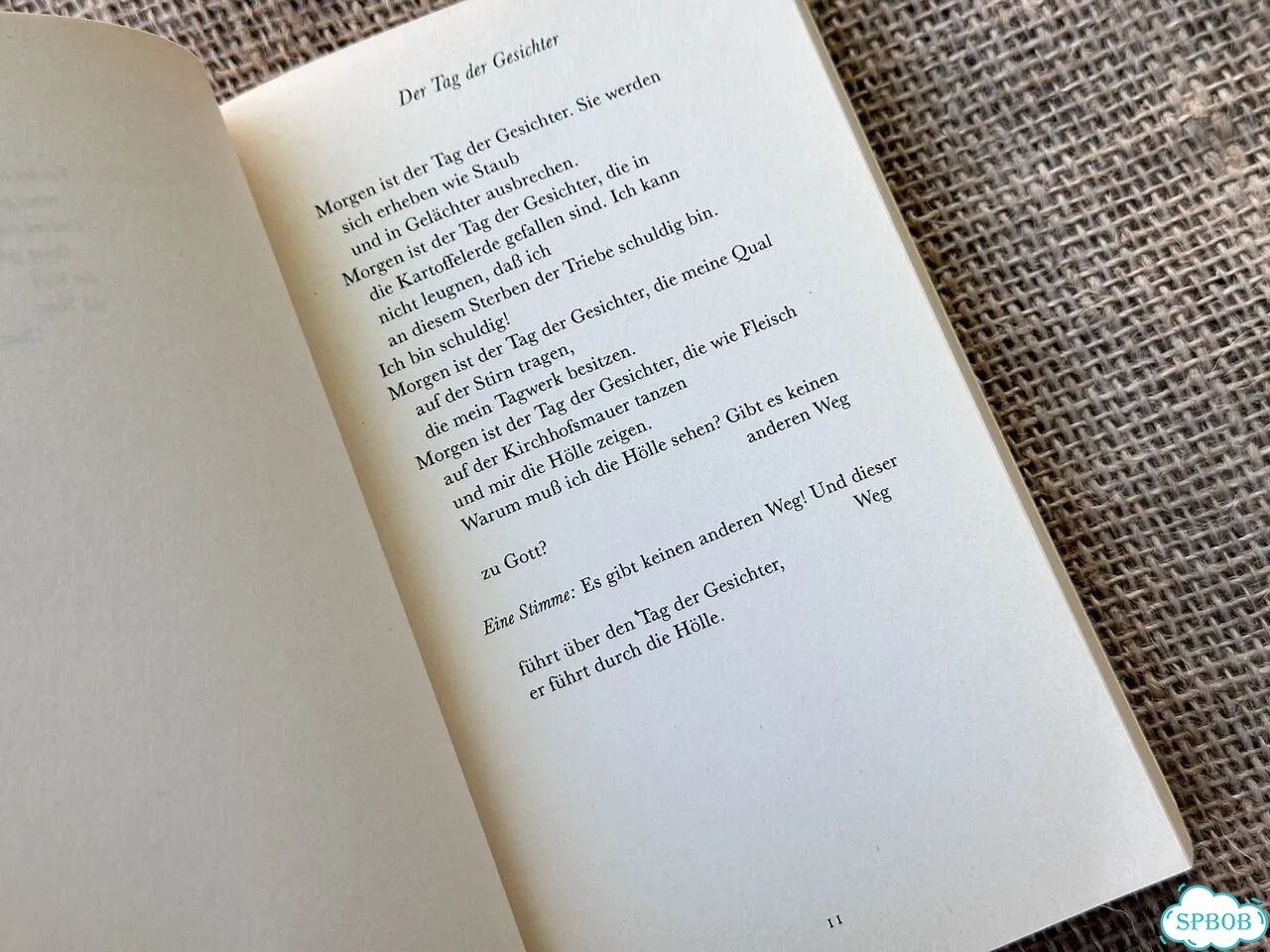 Thomas Bernhard. Gesammelte Gedichte фото 8