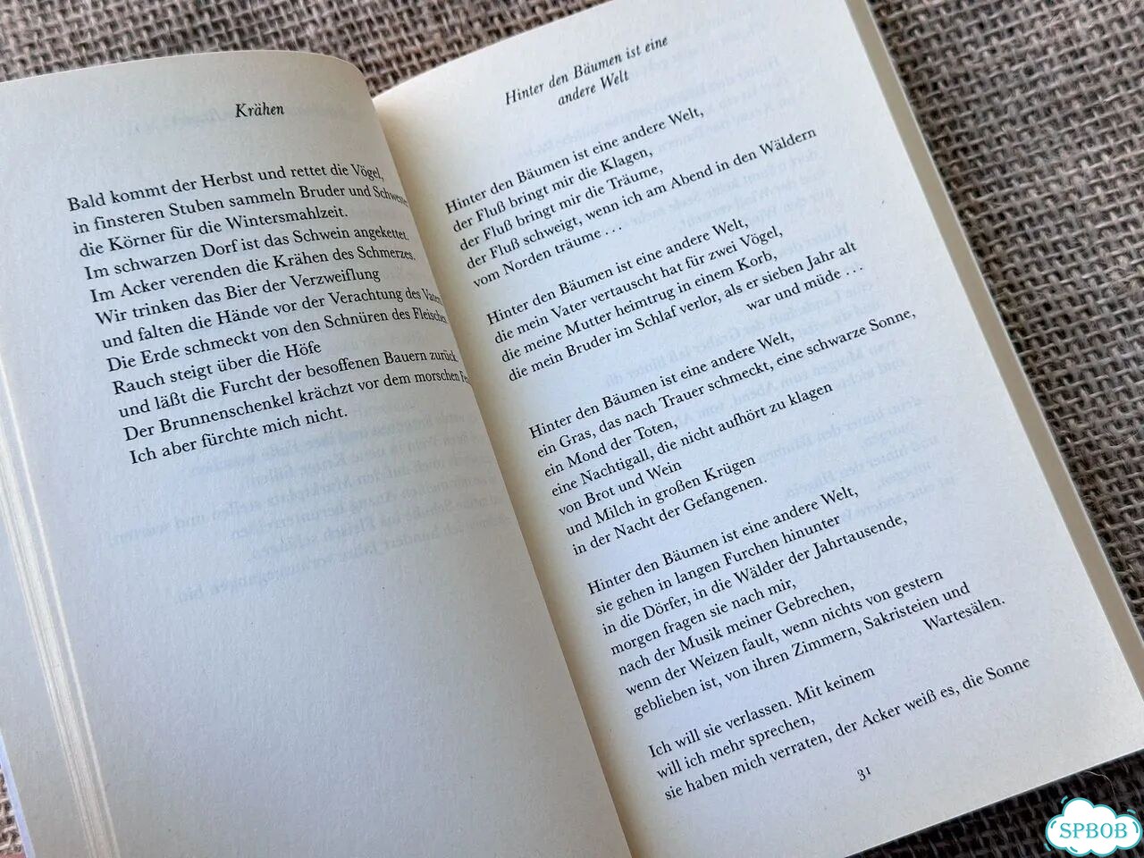 Thomas Bernhard. Gesammelte Gedichte фото 9
