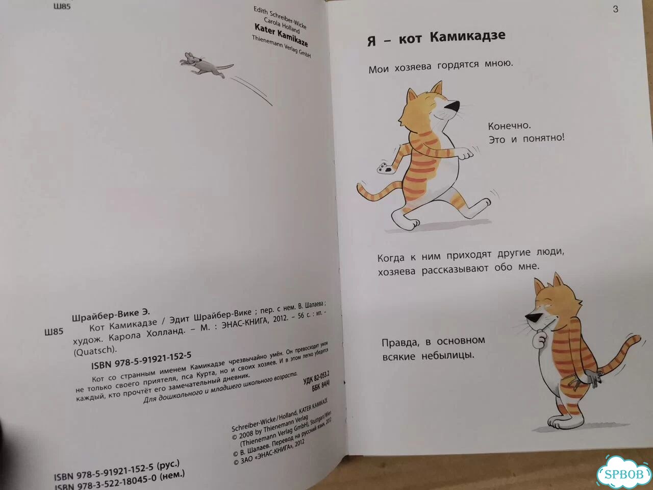 Кот Камикадзе фото 2