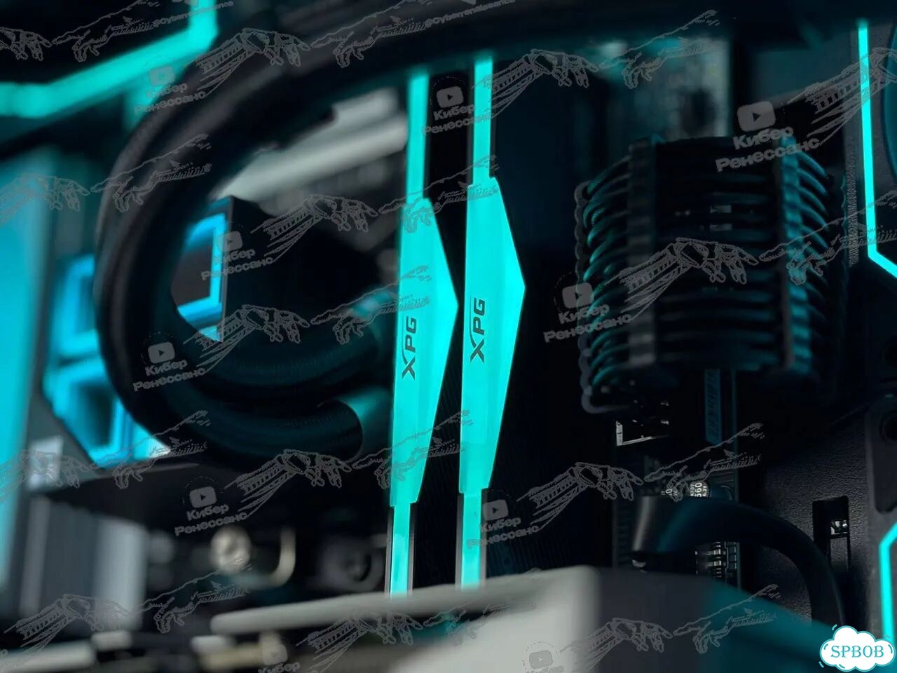 AMD Ryzen 5 7500F RTX 5060 Ti 32GB 1TB фото 4