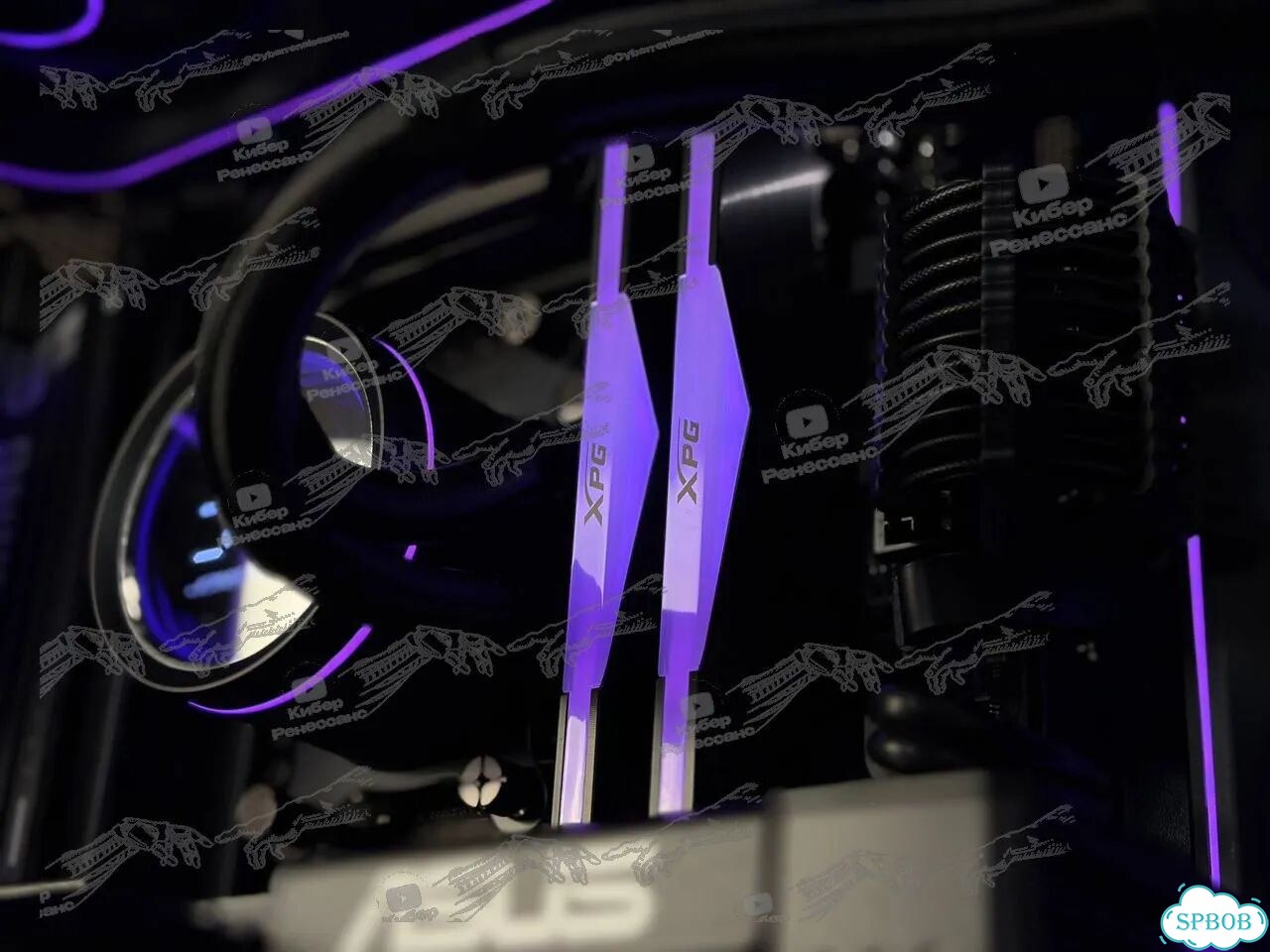 AMD Ryzen 5 7500F RTX 5060 Ti 32GB 1TB фото 5