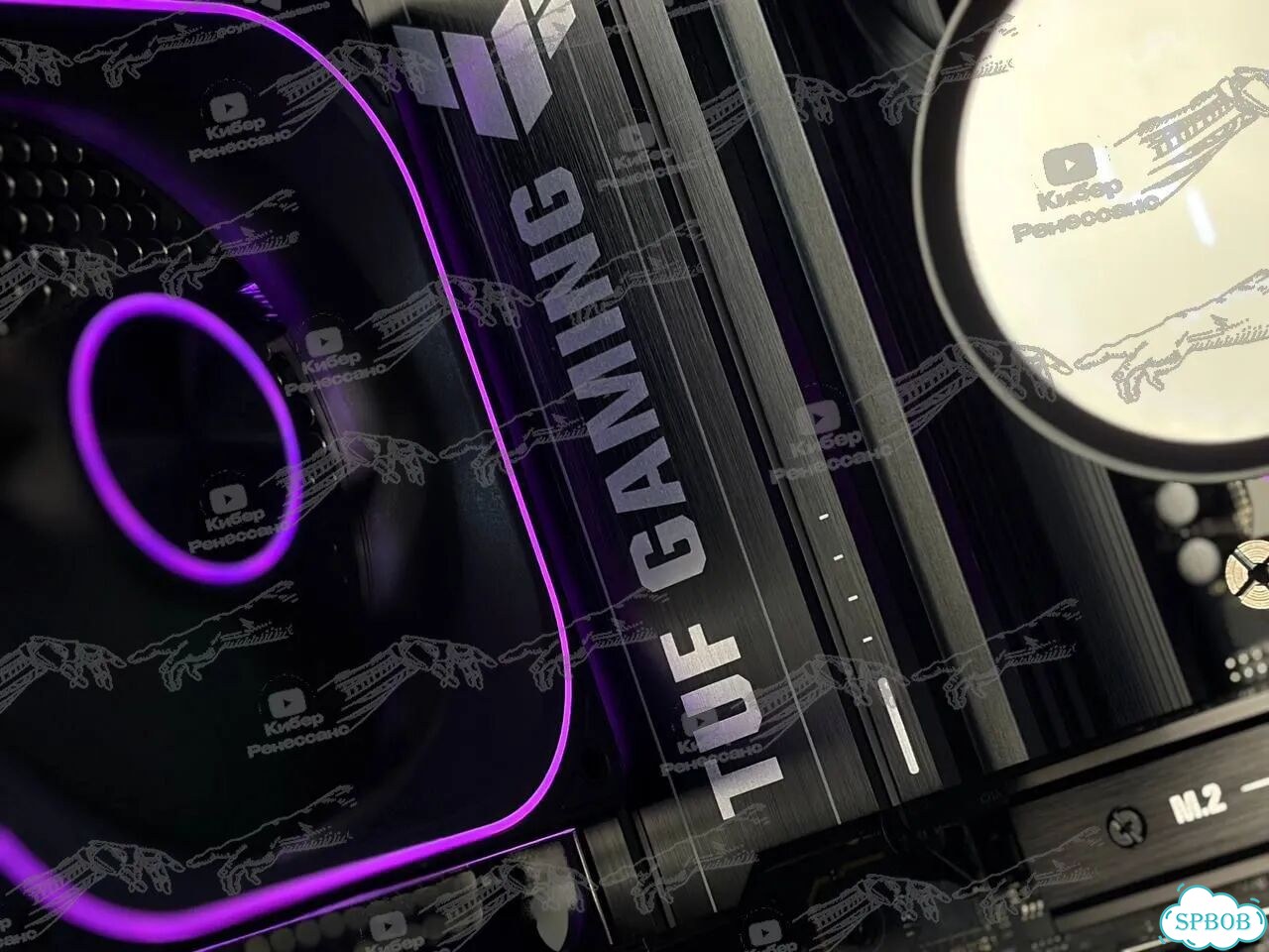 AMD Ryzen 5 7500F RTX 5060 Ti 32GB 1TB фото 6
