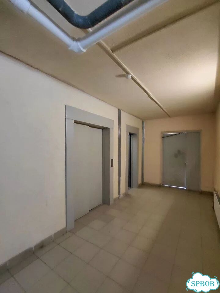 1-к. квартира, 46,1 м², 24/24 эт. фото 11