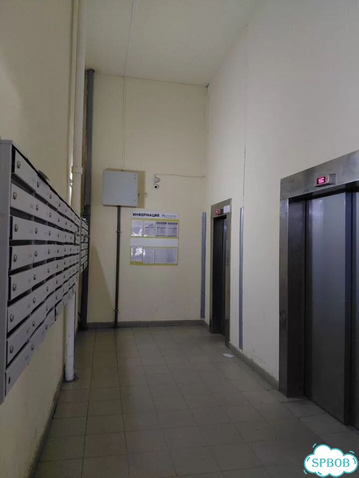 1-к. квартира, 46,1 м², 24/24 эт. фото 12