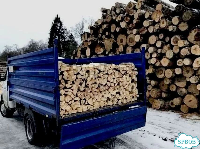 Дрова колотые. Машина дров фото 4
