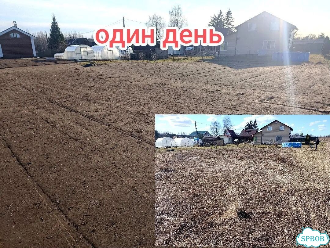 Выравнивание участка мини трактором фото 3