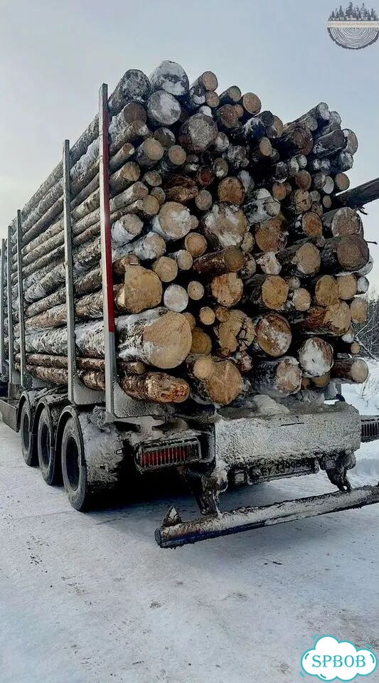 Дрова с доставкой фото 6