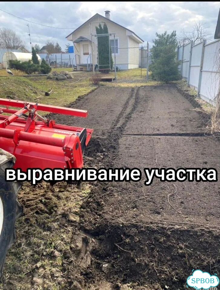 Газон под ключ на вашем грунте фото 1