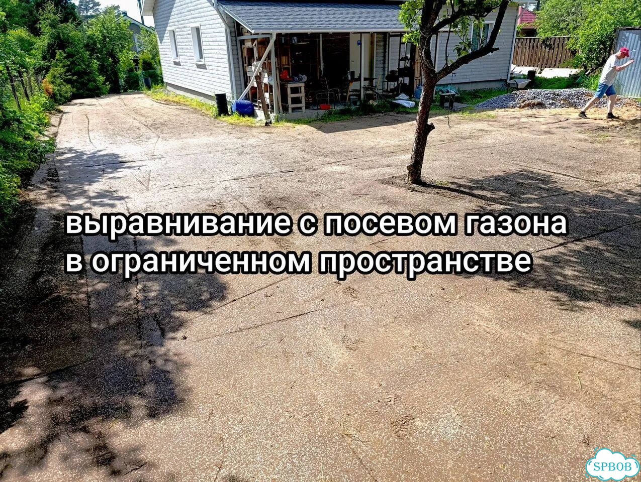 Газон под ключ на вашем грунте фото 10