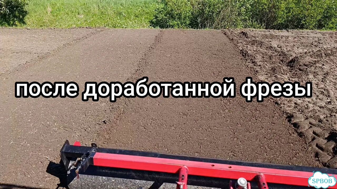 Газон под ключ на вашем грунте фото 2