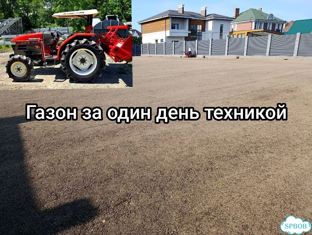 Газон под ключ на вашем грунте фото 3