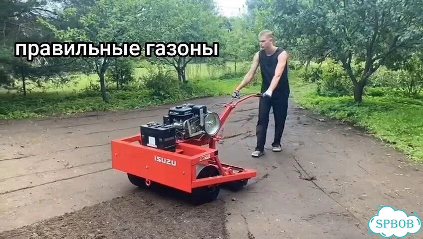 Газон под ключ на вашем грунте фото 7