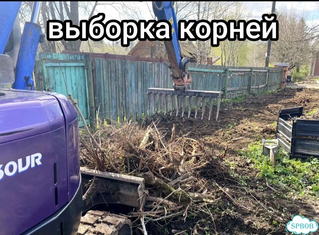 Газон под ключ на вашем грунте фото 8