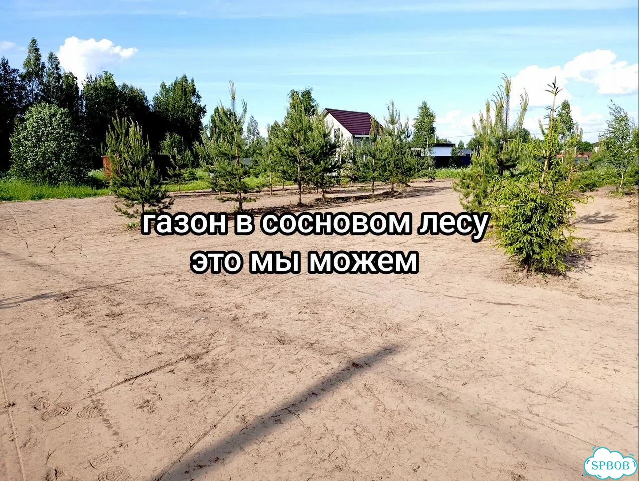 Газон под ключ на вашем грунте фото 9
