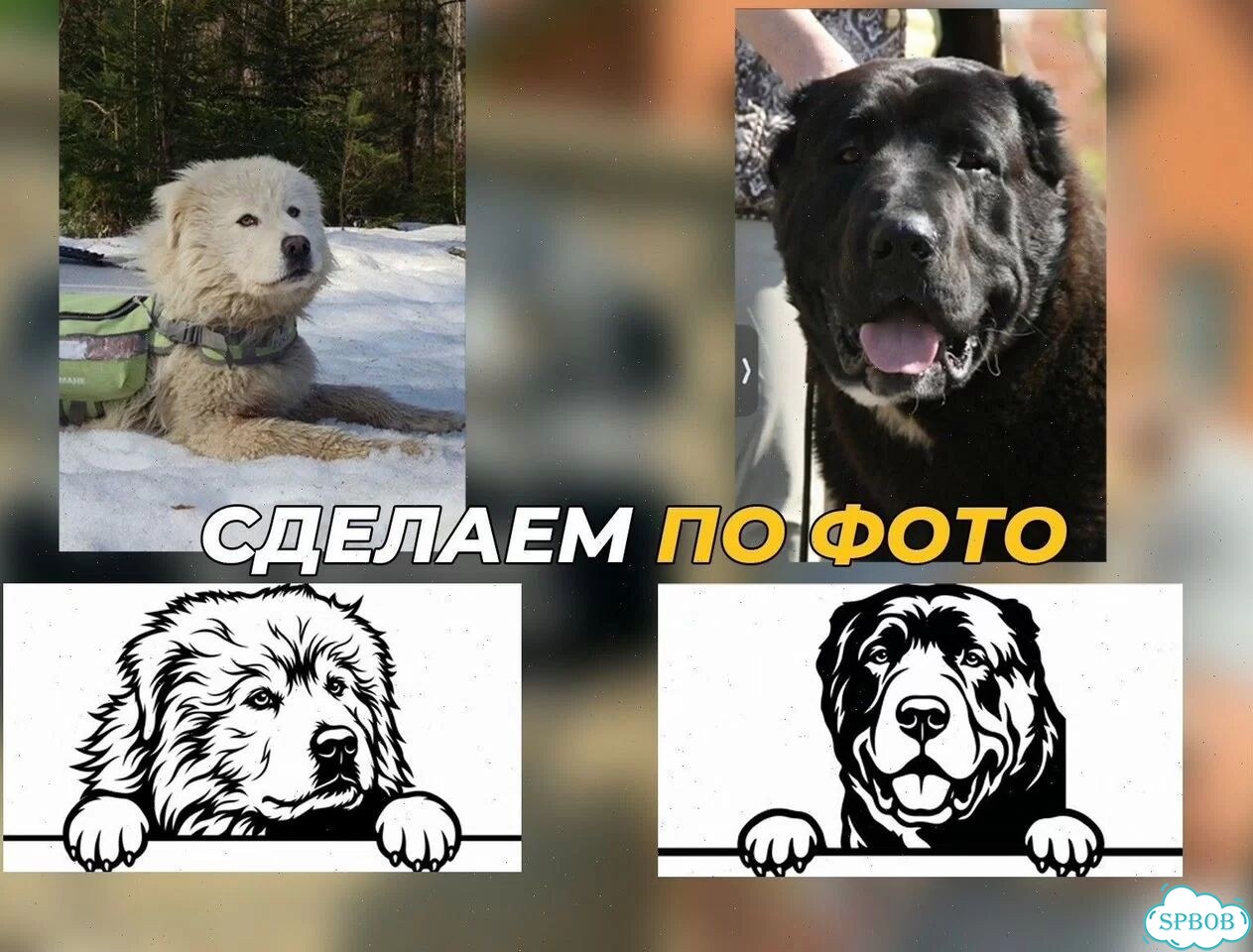 Табличка вывеска с животными фото 9