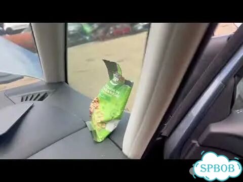 Форсунка топливная Citroen C4 Grand Picasso фото 2