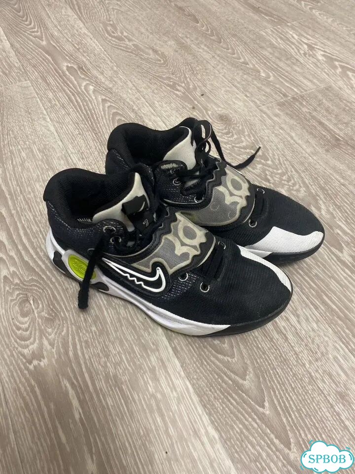 Баскетбольные кроссовки nike kd 5 trey фото 1