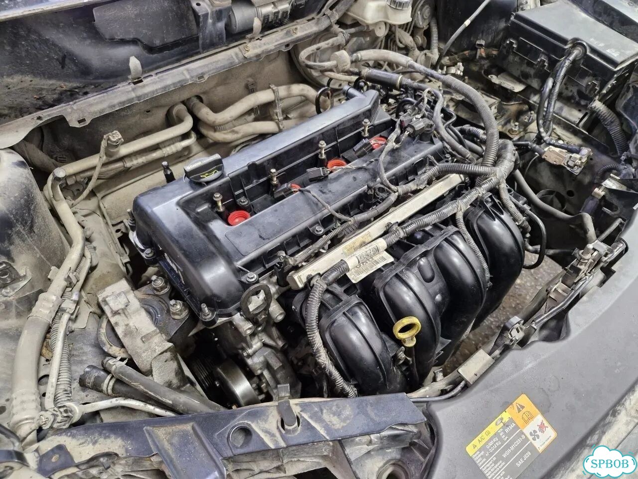Двигатель qqdb / Двигатель на авто Ford фото 6