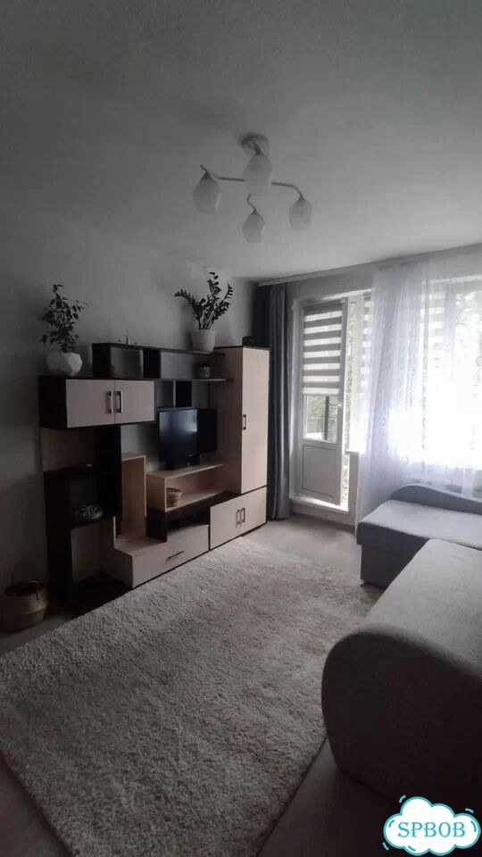 1-к. квартира, 29,5 м², 4/5 эт. фото 11
