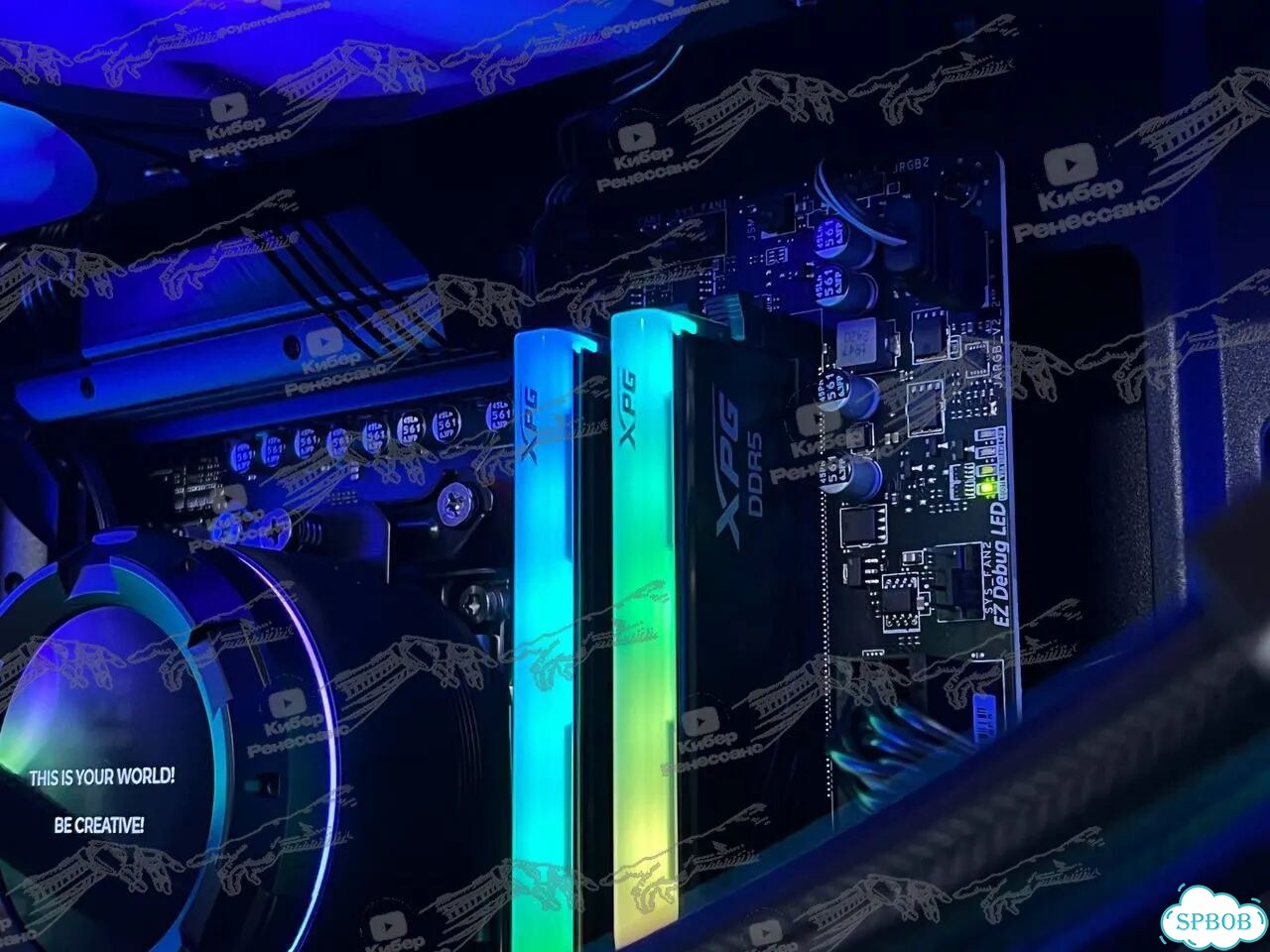 AMD Ryzen 7 7700 RTX 5060 32GB 1TB фото 6