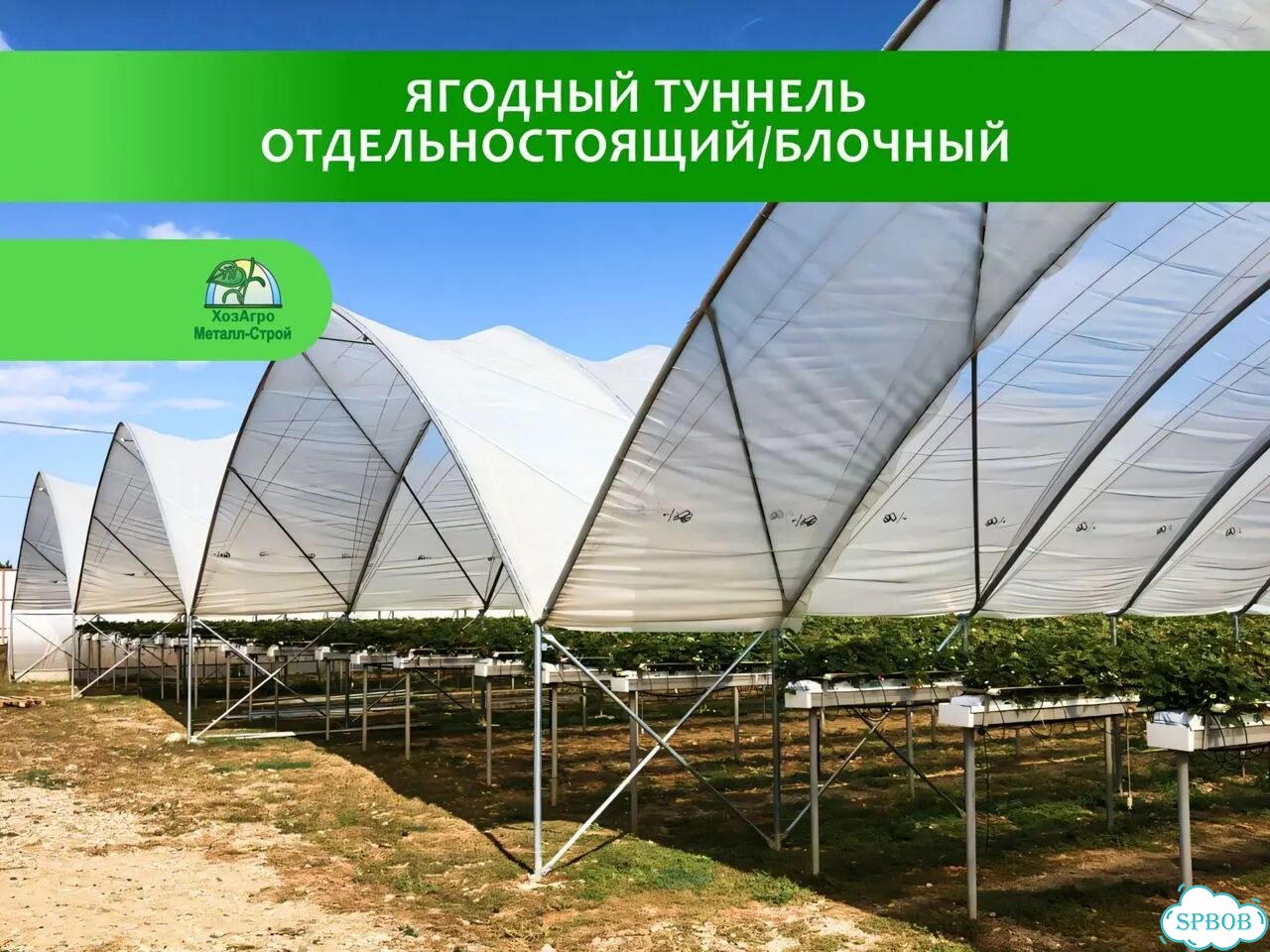 Промышленные теплицы / Ягодные туннели фото 1