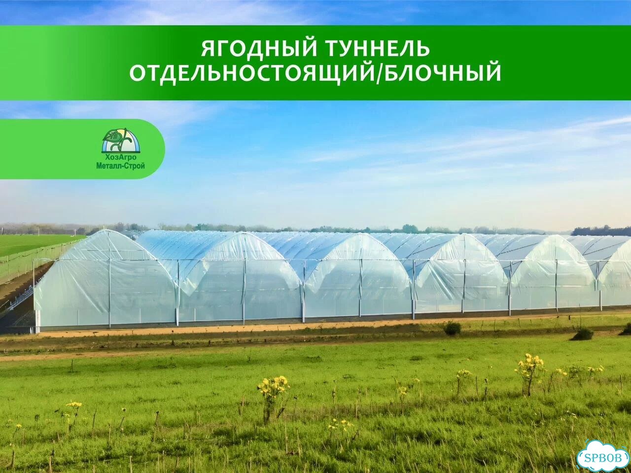 Промышленные теплицы / Ягодные туннели фото 9