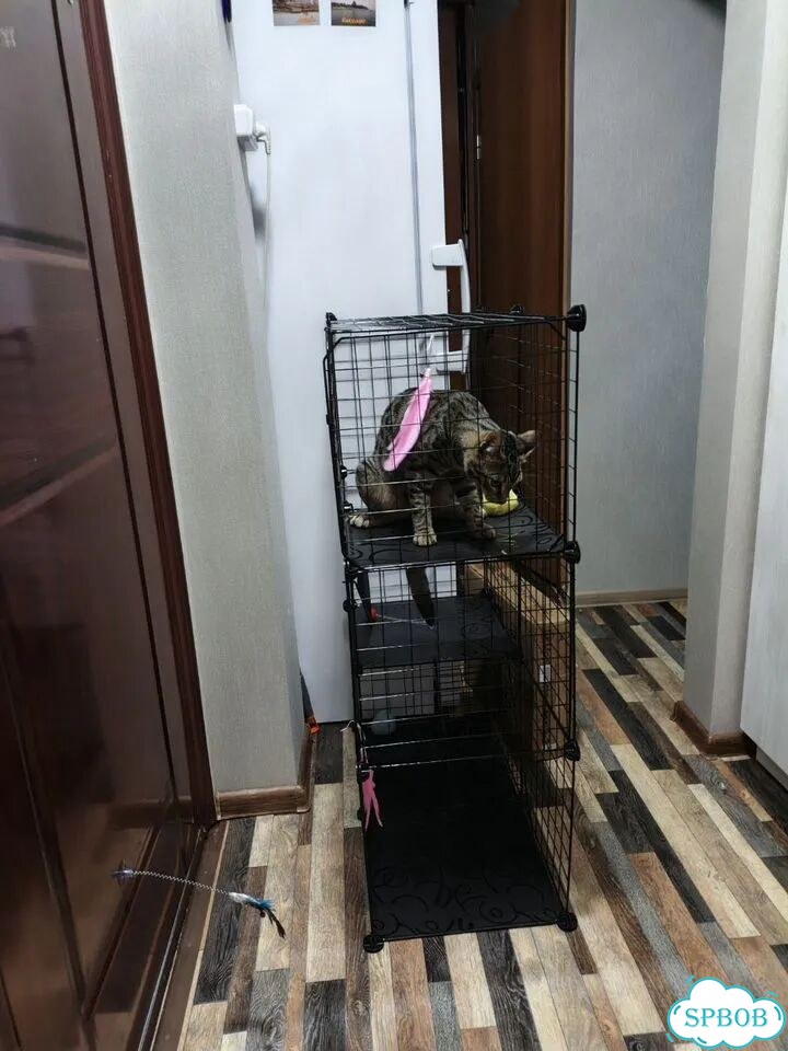 Барьер для кота фото 3