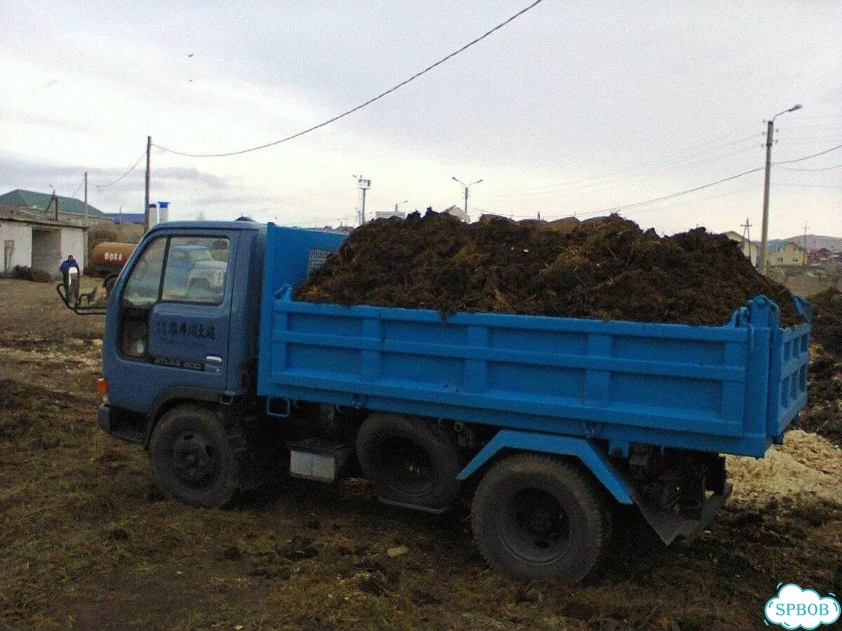 Земля плодородная чернозем фото 3