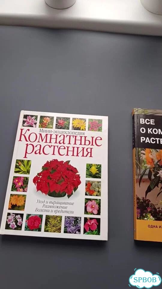 Пакет книг о комнатных растениях Д. Хейссайон фото 1